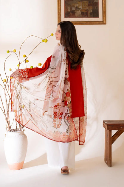 Rumi Dupatta