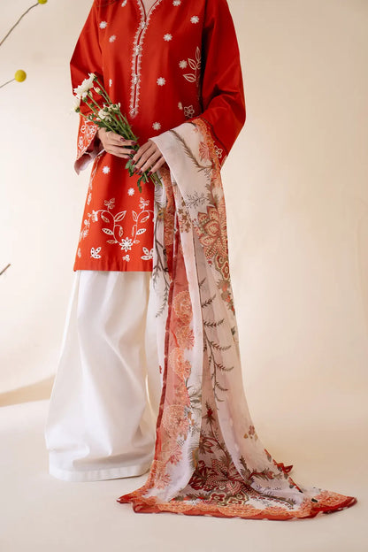 Rumi Dupatta
